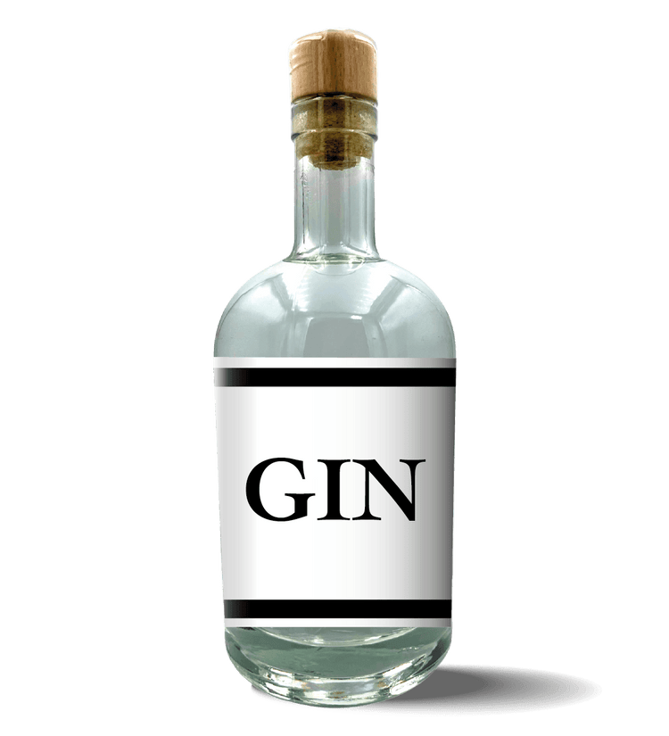 Custom Labeled GIN
